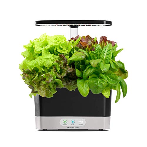 AeroGarden Tuai - Dengan Heirloom Salad Greens Pod Kit ...