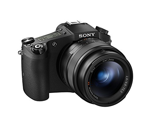 Sony Kamera Masih Digital DSC-RX10M II Cyber-shot