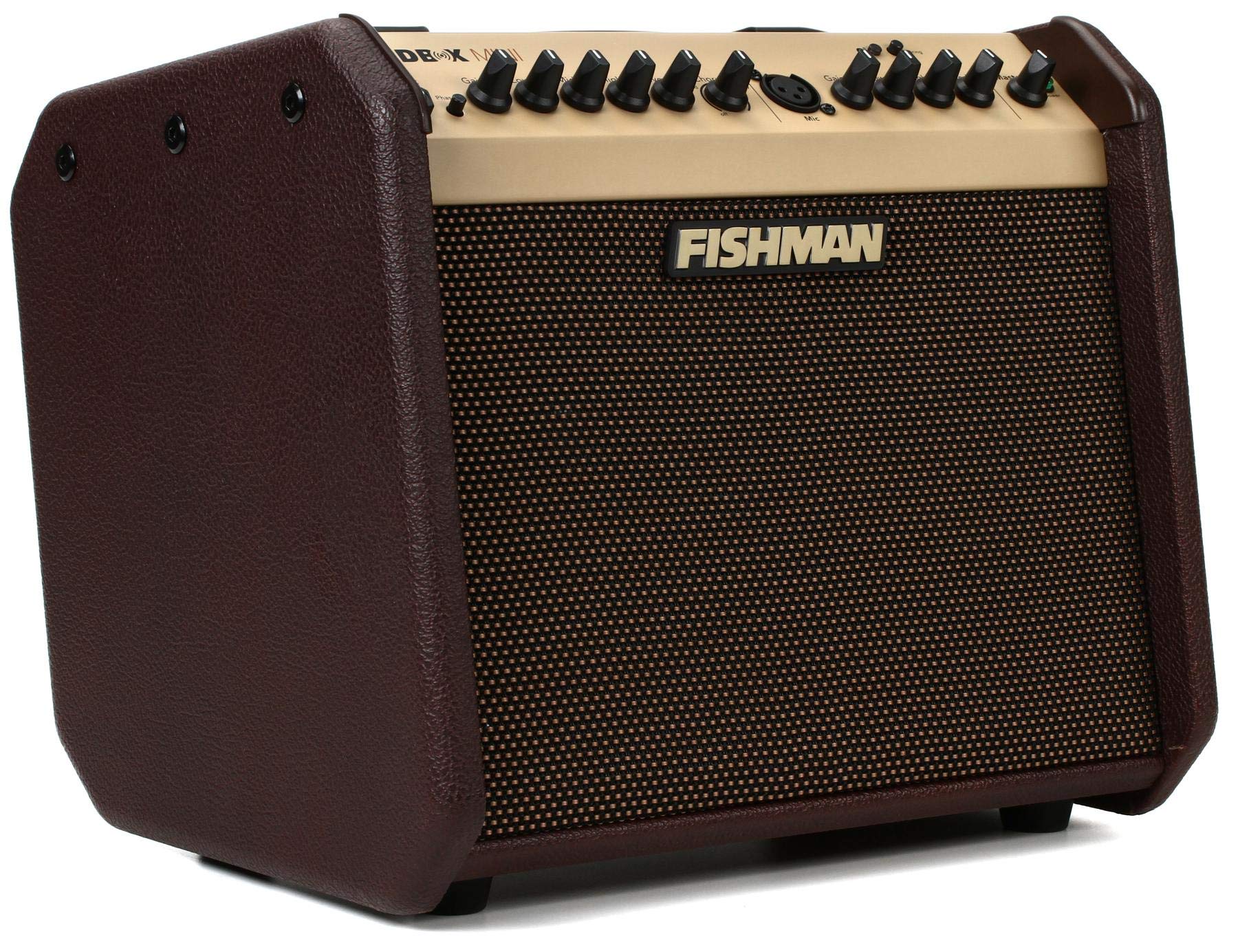 Fishman Loudbox Mini BT 60-Watt 1x6.5 Inci Kombo Akusti...