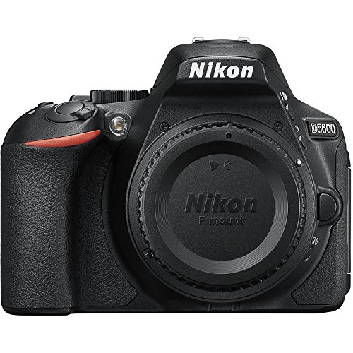 Nikon Badan SLR Digital D5600 format DX