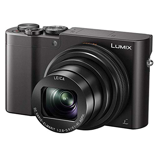 Panasonic LUMIX ZS100 Ibu Bapa