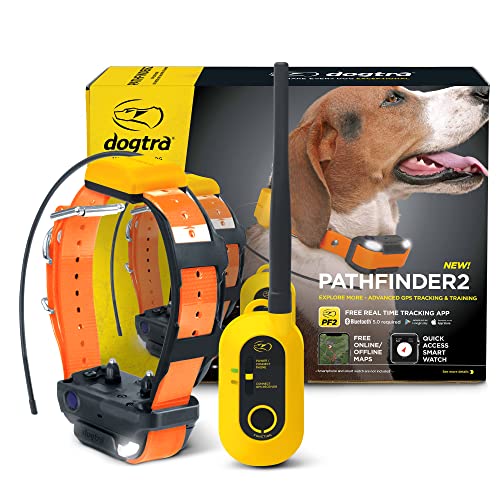 Dogtra Penjejak Anjing GPS Pathfinder 2 dan Lampu LED K...