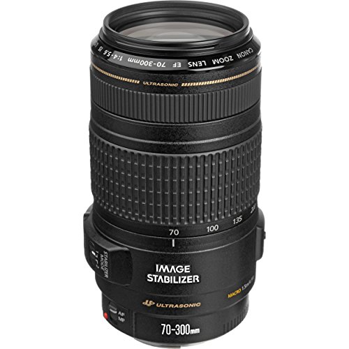 Canon EF 70-300mm f / 4-5.6 IS Lensa USM untuk Kamera E...