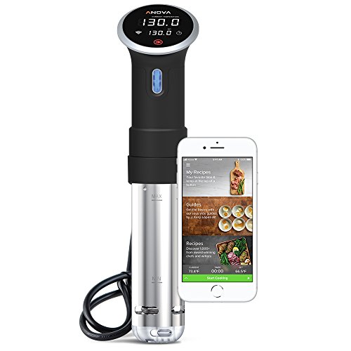 Anova Culinary Periuk Ketepatan Sous Vide | WiFi + Bluetooth | 900W (Dihentikan)