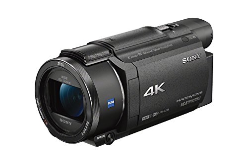 Sony Kamkoder Rakaman Video HD 4K FDRAX53/B (Hitam)