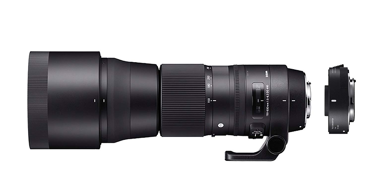 SIGMA 150-600mm f / 5-6.3 DG OS HSM Lens Contemporary u...